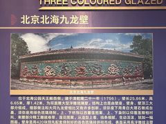 -九龙壁
