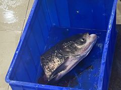 -雪野鱼头大王邢府公老店(雪野湖店)