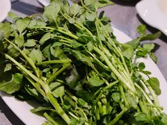 -张凯达·深海石斑鱼潮汕火锅(十五年品牌•虹桥天街店)