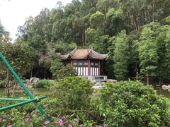 -顺峰山公园