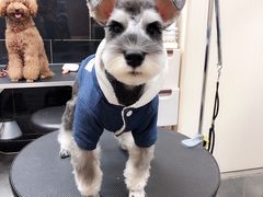 -小尾巴宠物店(万科·金域华庭店)