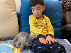 -猫大福·Fortune Cat猫舍(百子湾店)