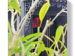 -梁园