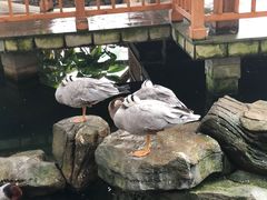 -南宫五洲植物乐园