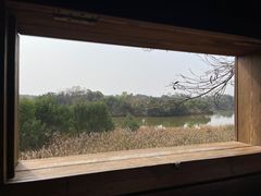 -华侨城湿地公园