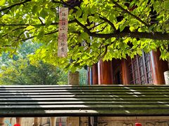 -西安大兴善寺