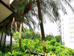 -香港大学