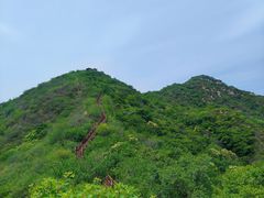 -大岭沟猕猴桃谷风景区