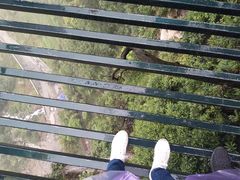 -梦幻奥陶纪景区