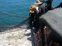 -浪琴湾尾角仔海鲜坊