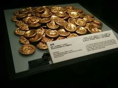 -陕西自然博物馆