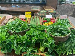 -四海酒家生态粤菜