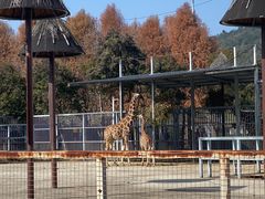 -上方山森林动物世界