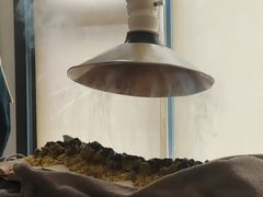 -承启堂中医馆·推拿·针灸·把脉(青羊馆)