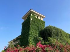 -府河摄影公园