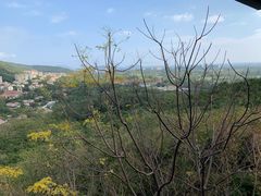-三亚亚龙湾人间天堂鸟巢度假村
