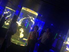 -南昌海洋公园