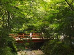 -三千院