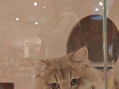 -狗道宠物(常熟印象城店)