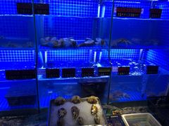 水产区-捞围鲜·港式打边炉(海阳路店)