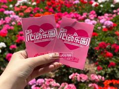 -盈香心动乐园
