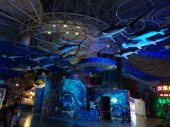 -烟台海昌鲸鲨海洋公园