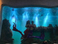 -瑞德姆美人鱼海底演艺主题餐厅(亚龙湾店)