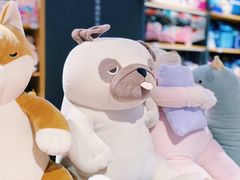 -解忧集市(北京路天河城店)