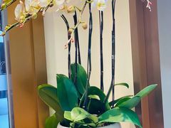 -Peet's Coffee皮爷咖啡(豫园店)