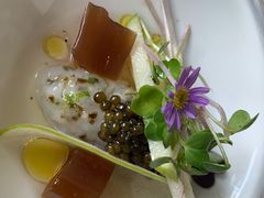 冰岛海鳌虾塔塔-蝶舍·MAISON PAPILLON