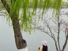 -羊山湖公园
