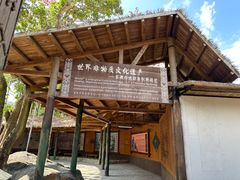 -海南槟榔谷黎苗文化旅游区