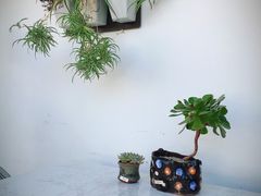 -素心小筑(后沙裕镇店)