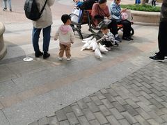 -王府井奥莱临潼小镇(临潼店)