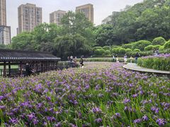 -龙头寺公园