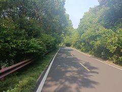 -宝界山林公园