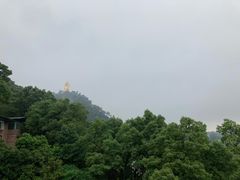 -城外有星光桥舍(南山店)