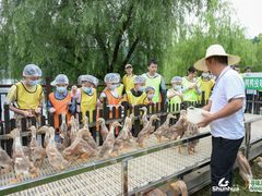 -郴州特产舜华临武鸭(郴州西站店)