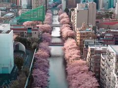-涩谷区