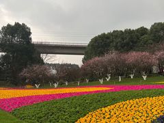 -秀丽东方