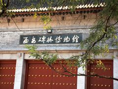 -西安碑林博物馆