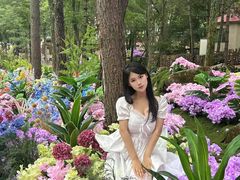 -洛阳白云山景区