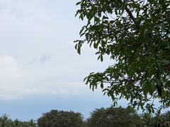 -白沙门生态公园