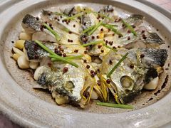 -新光酒家·河豚·海鲜·蟹料理(浦东店)