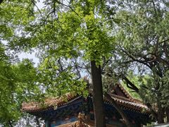 -北京国子监胡同