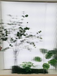 -OAE日式皮肤管理お肌の