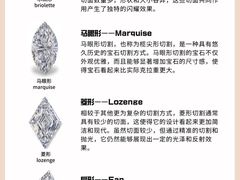 -海星奢选二手奢侈品手表包包鉴定回收寄卖(墨玉南路店)