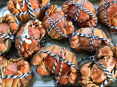 -渔娘蟹庄(阳澄湖莲花岛店)