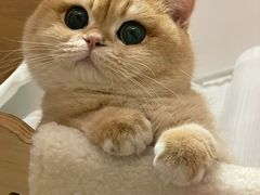 -荔康动物医院(康王北路店)