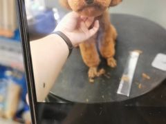 -宠物家(大兴旧宫店)